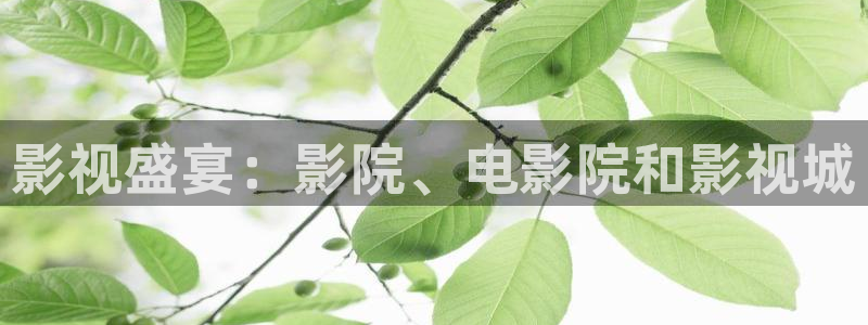 庫爾勒麥田影城今日放映表：影視盛宴：影院、電影院和影視城