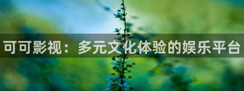 麥田電影院今日影訊：可可影視：多元文化體驗的娛樂平臺