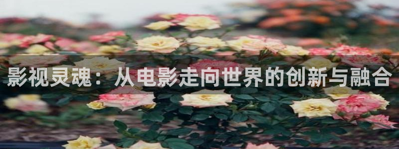 麥田電影高清在線觀看：影視靈魂：從電影走向世界的創新與融合