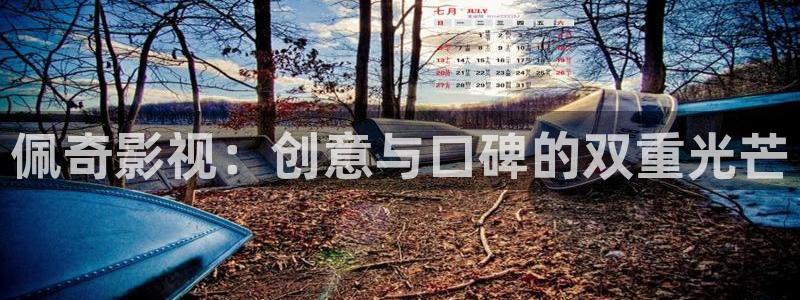 麥田影像：佩奇影視：創意與口碑的雙重光芒